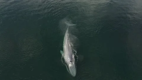 DJI 0410 Stock-Footage 234151987