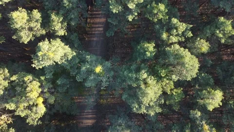 DJI 0411 Stock Footage 167205182