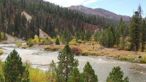 DJI 0443 動画素材 165478499