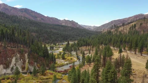 DJI 0444 動画素材 165478654