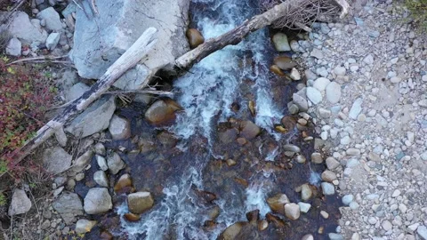 DJI 0459 動画素材 165478588