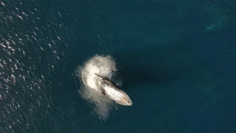 DJI 0474 Stock-Footage 233310331