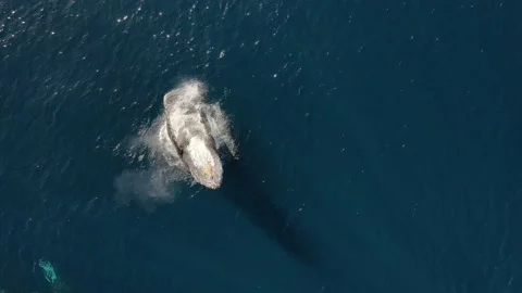 DJI 0479 Stock-Footage 233310332