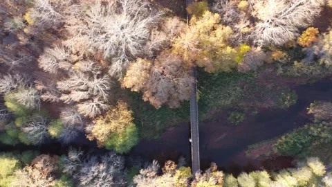 DJI 0485 Stock Footage 167871298