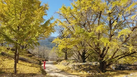 DJI 0507 Stock Footage 121019979