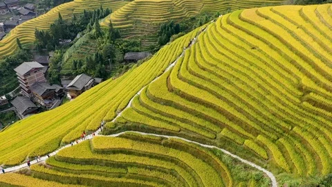 DJI 0510 1 Stock Footage 117035906