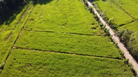 DJI 0515 Stock Photos