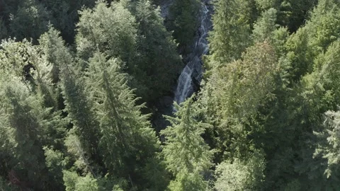 DJI 0519 Video stock 250958456