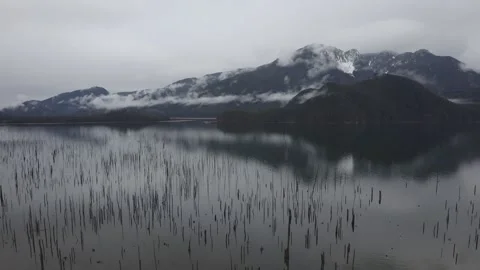 DJI 0526 Video stock 250957664