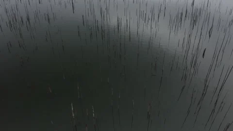 DJI 0527 Video stock 250957165