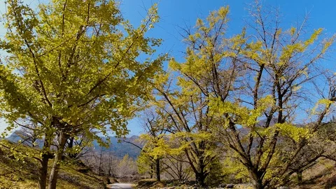 DJI 0534 Video stock 121019815
