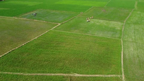 DJI 0550 1 Stock Footage 241312186