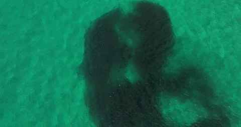 DJI 0575 Stock Footage 251637515