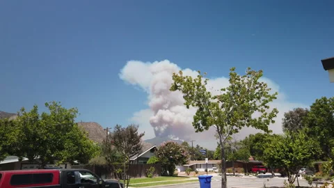 DJI 0666 Dam Fire Burns Hundreds Of Acres In Angeles National Forest Area Stock Footage 137529839