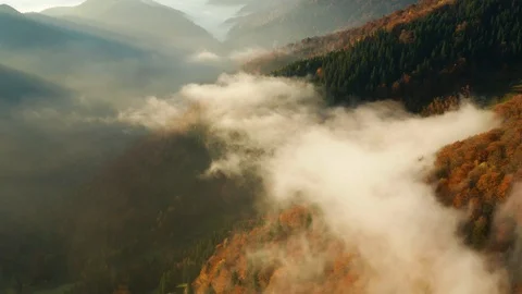 DJI 0895 Stock Footage 118325224