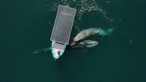 DJI 0918 Stock-Footage 234150773