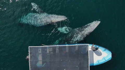 DJI 0925 Stock-Footage 234150792