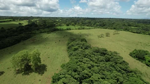 DJI 0926 Video stock 205169241