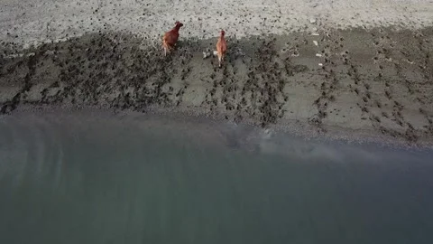 DJI 0946 Video stock 219645203