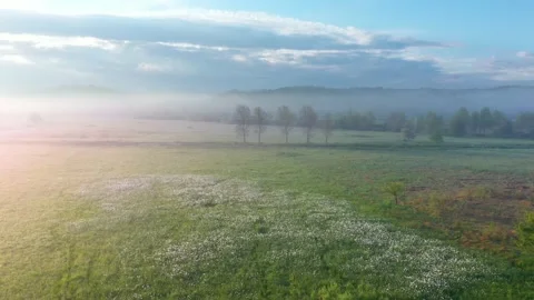 DJI 0963 Stock Footage 170573102