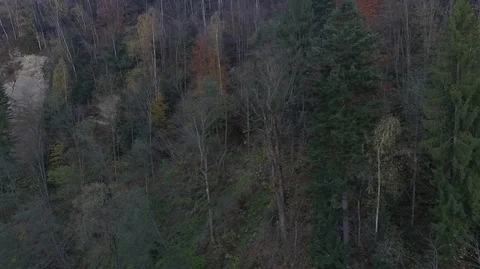 DJI 11 Mykulychyn 스톡 동영상 126279657