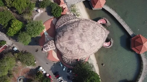 DJI 14 Video stock 215022420