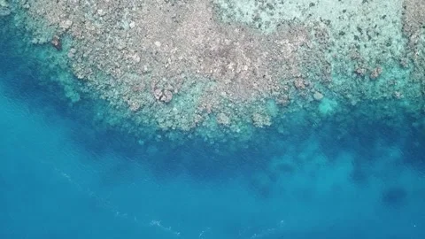 DJI 15 Video stock 215021521