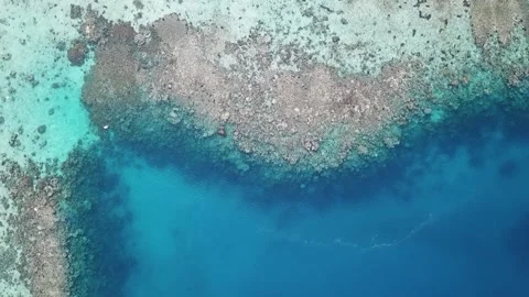 DJI 17 Video stock 215020953