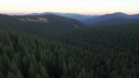 DJI 18 g1 Stock Footage 126284591