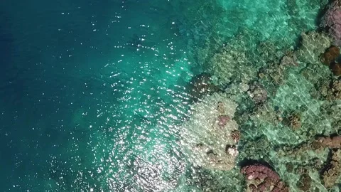 DJI 22 Video stock 215001682