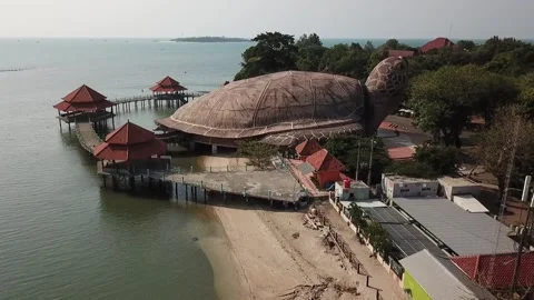 DJI 23 Video stock 214997839