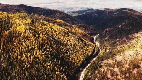 DJI Air 3 Lolo Pass Creek Montana Autumn Fall Colors Golden Larch Graded00000075 Stock Footage 255083264