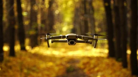 Dji Dron mavic 2 pro forest Stock Footage 162747484