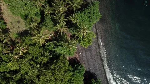 DJI Drone 6 Video stock 207833448