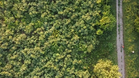 Dji drone flight over bike path and cyclist. Italy Stock Footage 160440923