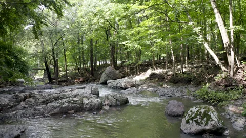 DJI drone in the river Vídeos de archivo 154867937