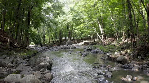 DJI fast backward river Vídeos de archivo 154867539