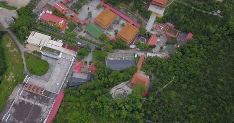 DJI Forest silver beach Video stock 166599379