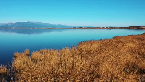 DJI mavic 2 pro quadcopter flies Stock Footage 141997621