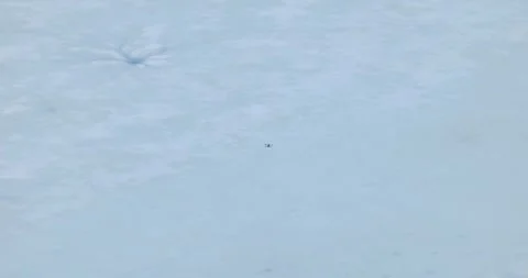 DJI Mavic 4 Pro drone flying with cloudy sky in background. Copy space Stock-Footage 336657378