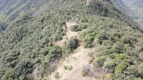 DJI MAVIC AIR2 4K Aerial Guangzhou Top Paradise Mountain 20210217 10 Stock Footage 148991753