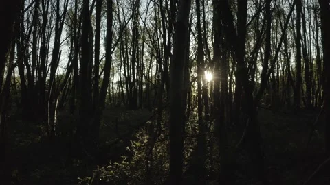  - DJI Mavic Pro 2 - 4K - 23.98 fps - UK Stock Footage 148537039