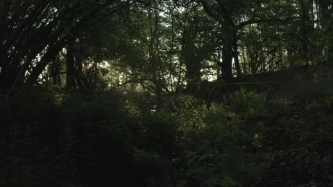  - DJI Mavic Pro 2 - 4K - 23.98 fps - UK Stock Footage 148537399