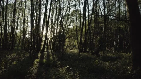  - DJI Mavic Pro 2 - 4K - 23.98 fps - UK Stock Footage 148538136