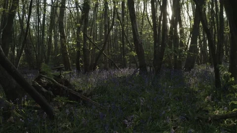  - DJI Mavic Pro 2 - 4K - 23.98 fps - UK Stock Footage 148538746