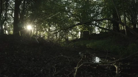  - DJI Mavic Pro 2 - 4K - 23.98 fps - UK Stock Footage 148538984