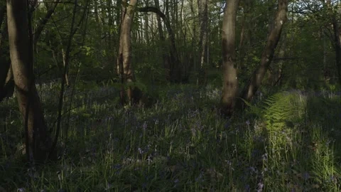  - DJI Mavic Pro 2 - 4K - 23.98 fps - UK Stock Footage 148540156