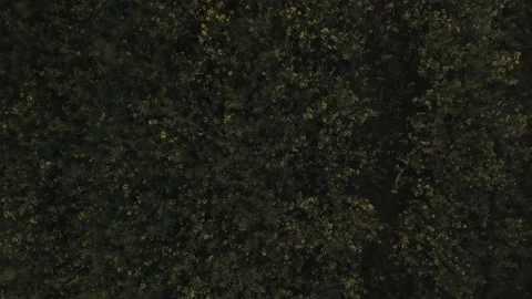  - DJI Mavic Pro 2 - 4K - 23.98 fps - UK Stock Footage 148540966