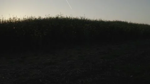  - DJI Mavic Pro 2 - 4K - 23.98 fps - UK Stock Footage 148541141