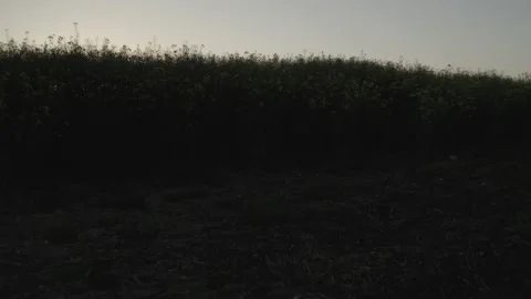  - DJI Mavic Pro 2 - 4K - 23.98 fps - UK Stock Footage 148541320